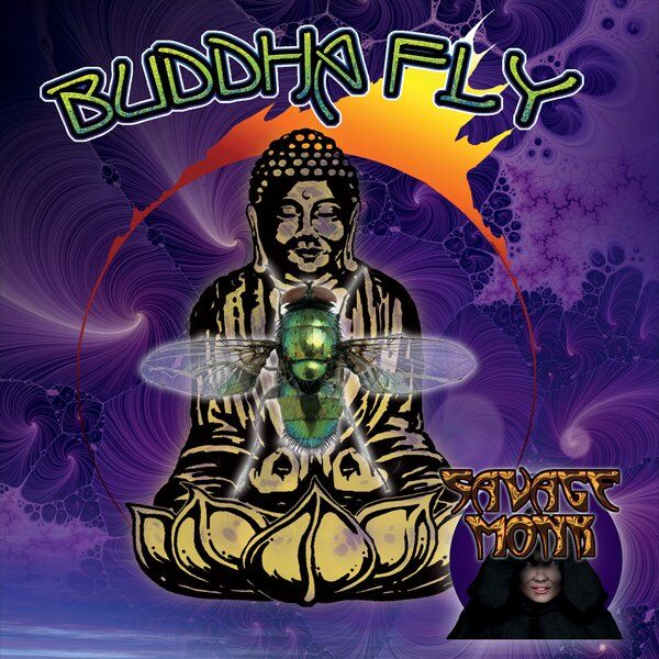 Cover art for Buddha Fly